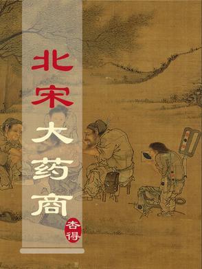 大宋药丸图