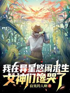 我在异界放卫星txt