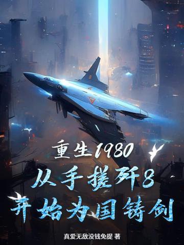 重生80年代造飞机的