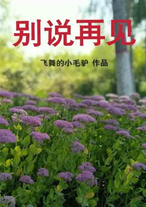 别说再见周冰倩