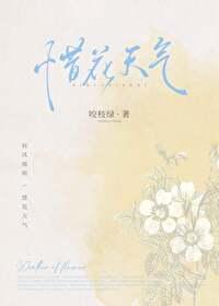 攀枝花凯特芒果广告语