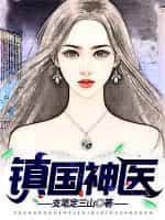 镇国神医赵齐天