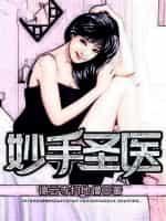 妙手医圣笔趣阁