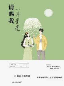 请给我一片光明