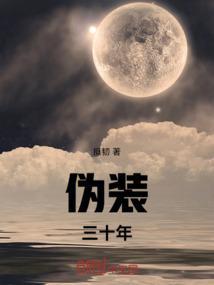 伪装谁写的