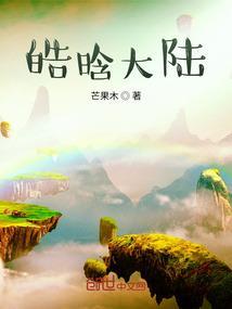 皓晨是谁