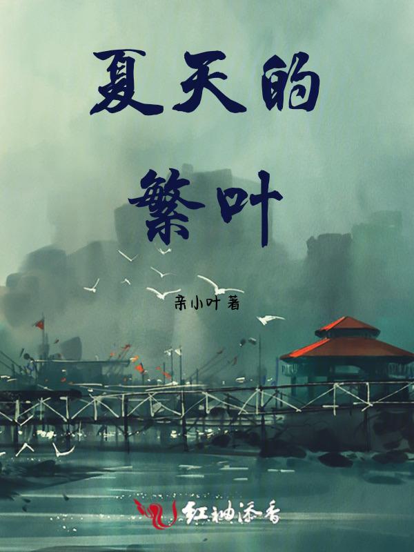 夏天枝叶繁茂的一面是哪一面?