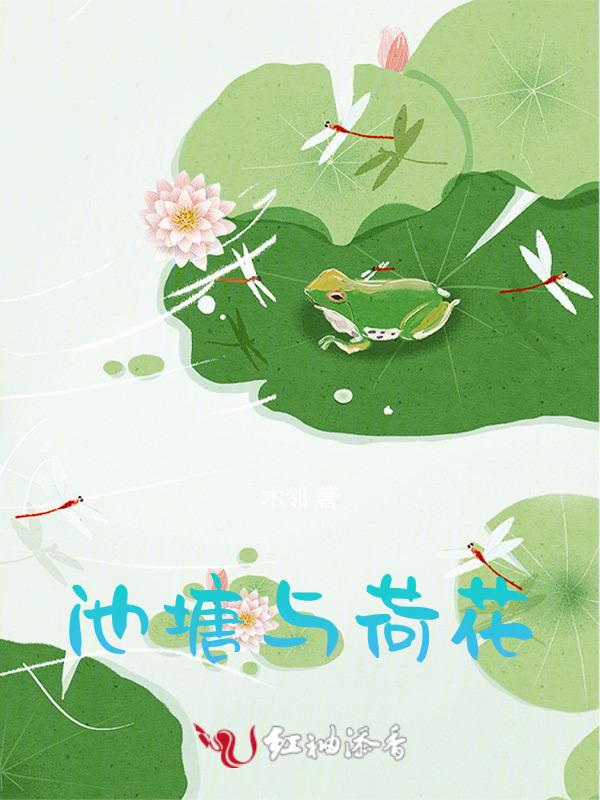 池塘荷花划船的短文