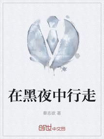 我在黑夜里行走