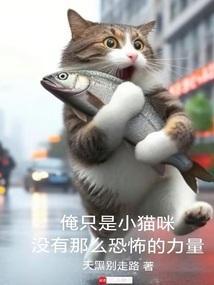 我只是只小猫咪英文