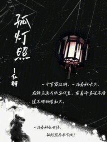 孤灯照影不成眠结局