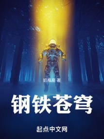钢铁苍穹诸神黄昏号飞船
