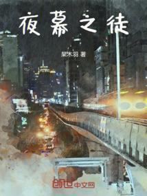 夜幕的终章评测