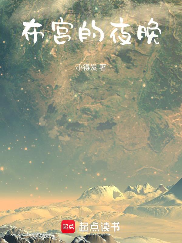 夜晚的布达拉宫广场