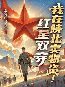 红星双穿我在陕北卖物资 笔趣阁
