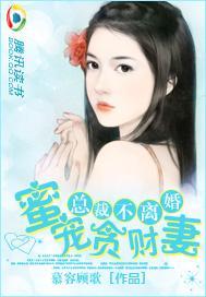 总裁蜜宠100天