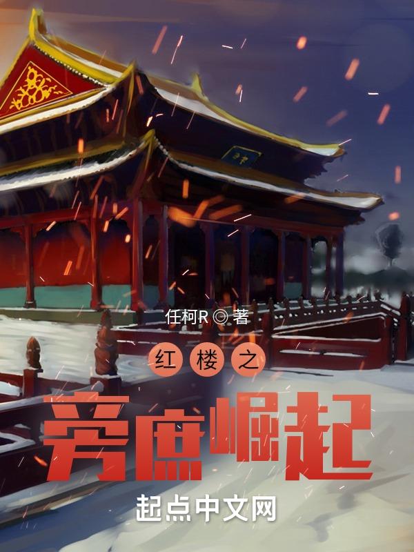 红楼之从旁庶开始崛起