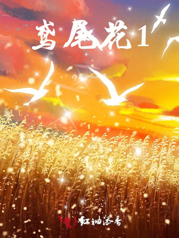 鸢尾花的花语