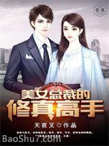 美女总裁的修真高手漫画