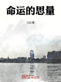 命运的思量DJ