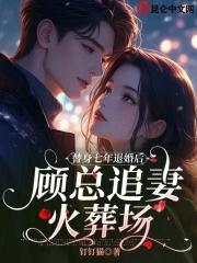 顾少的替身甜