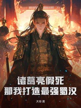 诸葛亮真无脑
