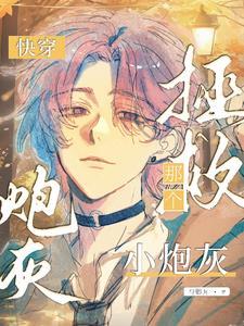 拯救小炮灰 快穿